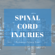 chicago spinal cord injuries (1)