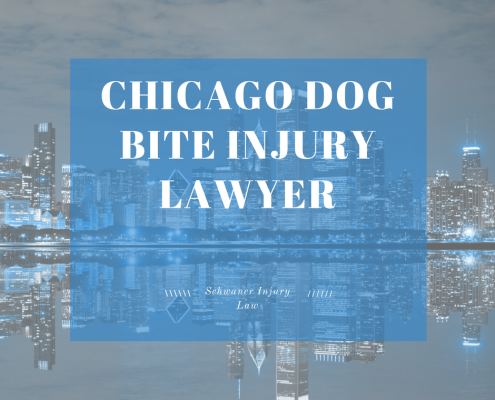 chicago dog injury lawyer
