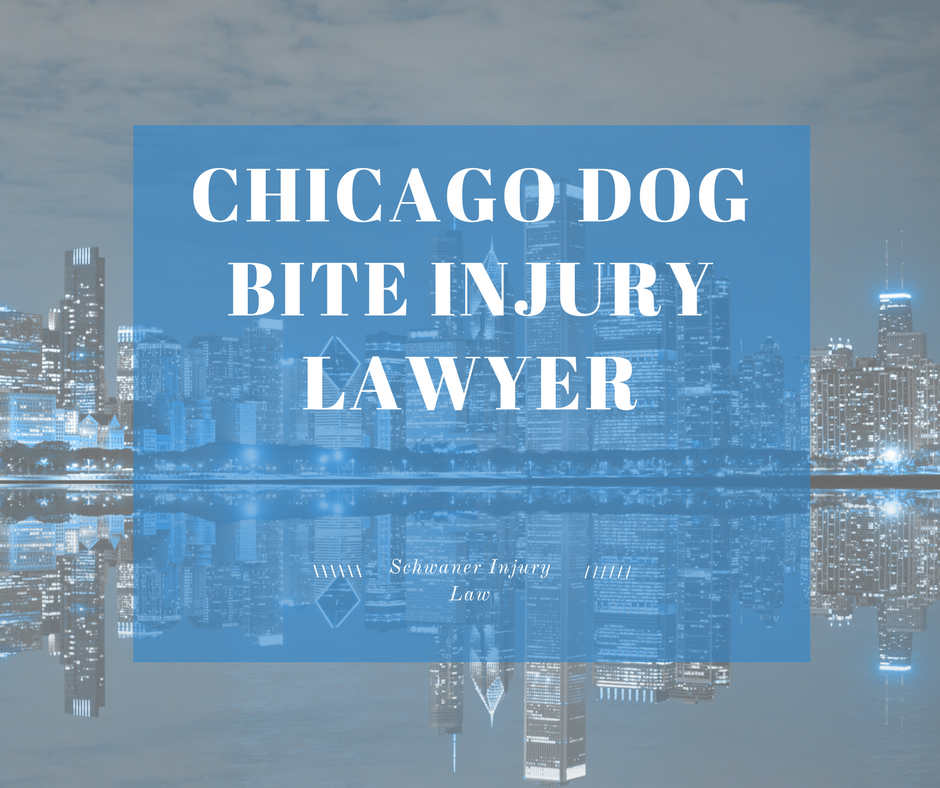 Chicago Dog Bite Injury Lawyer Schwaner Injury Law