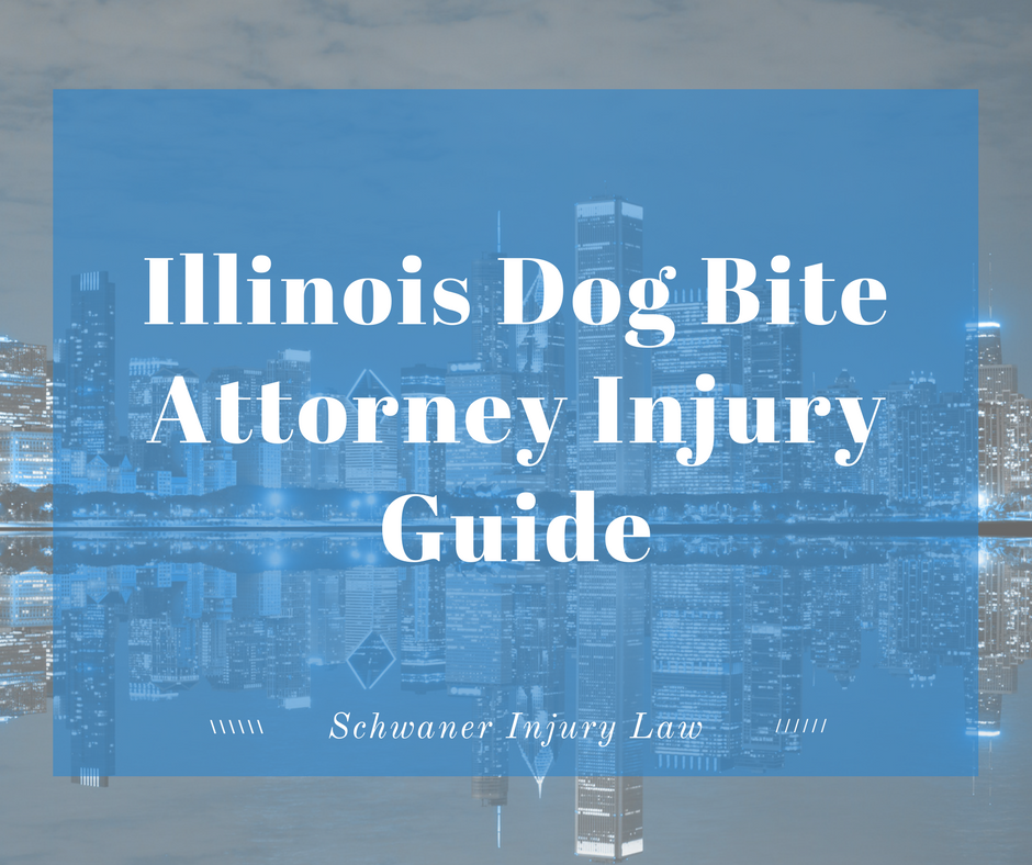 Dog Bite Attorney Near Me