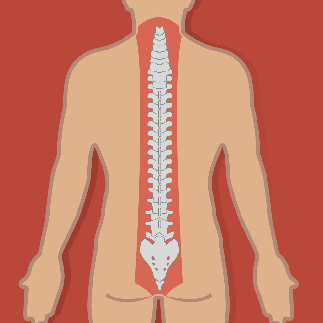 What Are The Types Of Spinal Cord Injury